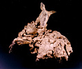 BEAUTIFUL SHEEP, Bronze, 33cm (13in)